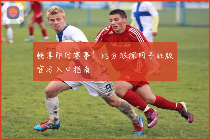 畅享即时赛事！比分球探网手机版官方入口指南