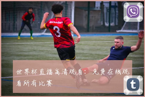 世界杯直播高清观看：免费在线观看所有比赛